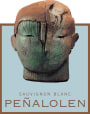 Penalolen Sauvignon Blanc 2014 Front Label