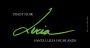 Lucia Vineyards Santa Lucia Highlands Pinot Noir 2010 Front Label