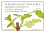 Pyramid Valley Growers Collection Calvert Vineyard Pinot Noir 2009 Front Label