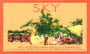 Sky Mt. Veeder Zinfandel 2009 Front Label
