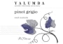 Yalumba Y Series Pinot Grigio 2013 Front Label
