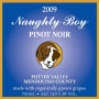 Naughty Boy Vineyard Pinot Noir 2009  Front Label