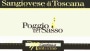 Cantina di Montalcino Toscana Poggio del Sasso Sangiovese 2013 Front Label