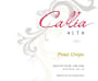 Bodegas Callia Alta Pinot Grigio 2013 Front Label