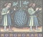 Kongsgaard Viognier-Roussanne 2005 Front Label