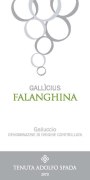Tenuta Adolfo Spada Srl Galluccio Gallicius Falanghina 2015 Front Label