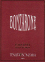 Tenuta Bonzara Colli Bolognesi Bonzarone Cabernet Sauvignon 2001 Front Label