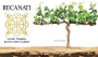 Recanati Reserve Syrah/Viognier (OU Kosher) 2010 Front Label