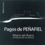 Tintos Pagos de Penafiel Crianza 2010 Front Label