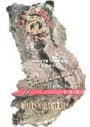Louis Martini Monte Rosso Zinfandel 1998 Front Label