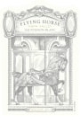 Flying Horse Sauvignon Blanc 2013 Front Label
