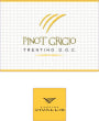 Vivallis S.C.A Trentino Pinot Grigio 2015 Front Label