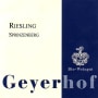 Weingut Geyerhof Sprinzenberg Riesling 2004 Front Label