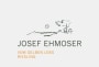 Weingut Josef Ehmoser Vom Gelben Loss Riesling 2012 Front Label