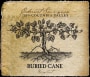 Buried Cane Roughout Cabernet Sauvignon 2009 Front Label