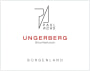 Paul Achs Blaufrankisch Ungerberg 2009 Front Label