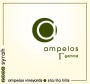 Ampelos Cellars Gamma: The Complex Syrah 2006 Front Label