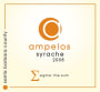 Ampelos Cellars Syrache 2008 Front Label