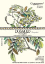 Carpineto Dogajolo Bianco 2010 Front Label