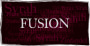 Stephen Borra Wines Fusion 2008 Front Label