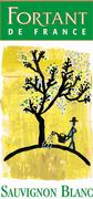 Fortant Sauvignon Blanc 2001 Front Label