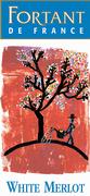 Fortant White Merlot 2001 Front Label