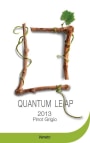 Quantum Leap Winery Pinot Grigio 2013 Front Label