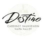 Destino Cabernet Sauvignon 1999 Front Label