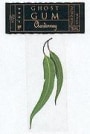 Ghost Gum Chardonnay 2001 Front Label