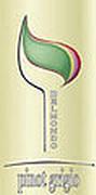 Belmondo Pinot Grigio 2001 Front Label