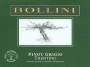 Bollini Pinot Grigio 2002 Front Label