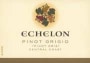 Echelon Pinot Grigio 2002 Front Label