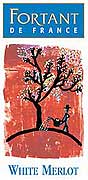 Fortant White Merlot 2002 Front Label