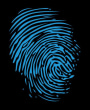 Thumbprint Cellars Four Play 2014  Front Label