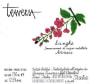 Giuseppe Traversa Arneis 2014 Front Label
