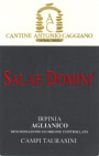 Cantine Caggiano Irpinia Salae Domini Aglianico 2009 Front Label