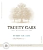 Trinity Oaks Pinot Grigio 2015 Front Label