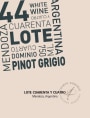 Bodega Cuarto Dominio Lote 44 Pinot Grigio 2011 Front Label