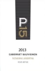 Bodega MALMA P15 Cabernet Sauvignon 2013 Front Label