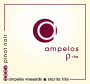 Ampelos Cellars Rho Pinot Noir 2006 Front Label