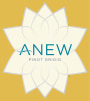 Anew Pinot Grigio 2014 Front Label