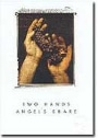 Two Hands Angels' Share Shiraz 2003 Front Label