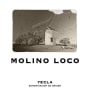 Bodegas Castano Molino Loco Monastrell 2013 Front Label