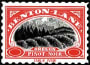 Benton Lane Pinot Noir 2001 Front Label
