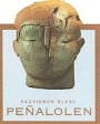 Penalolen Sauvignon Blanc 2004 Front Label