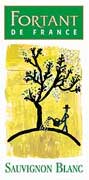 Fortant Sauvignon Blanc 2003 Front Label