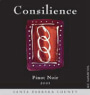 Consilience Pinot Noir 2001 Front Label