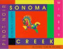 Sonoma Creek Pinot Noir 1997 Front Label