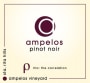 Ampelos Cellars  Rho Pinot Noir 2011 Front Label