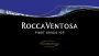 Tollo Terre degli Osci Rocca Ventosa Pinot Grigio 2013 Front Label